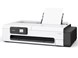 FC08 TC 21 SFP ASF A3paper W